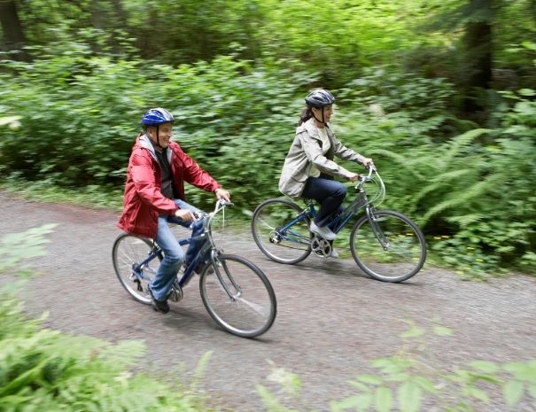 Visite en groupe à vélo de la forêt de Brocéliande