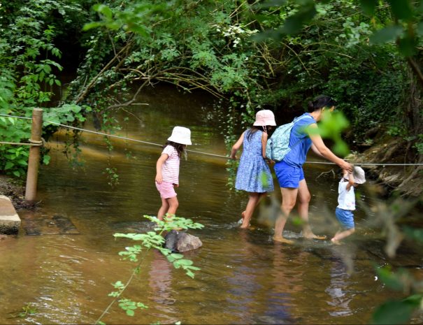 Visite des jardins de Brocéliande