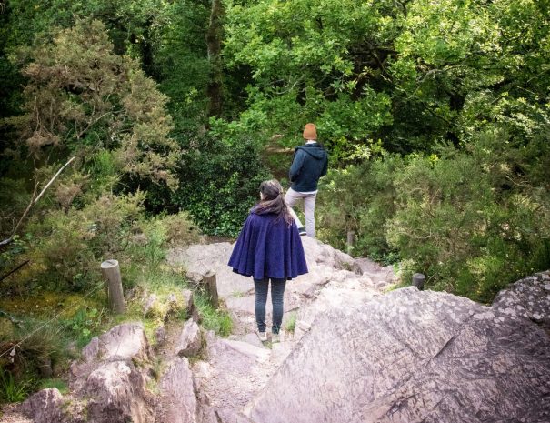 Randonnée en Forêt de Brocéliande