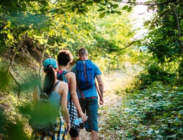 Randonnée en groupe en forêt de Brocéliande