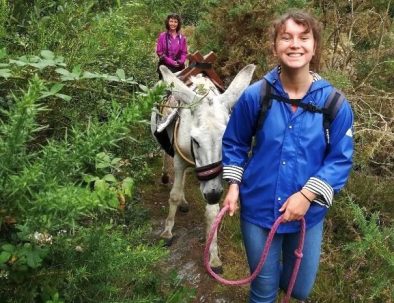 Balade avec un âne en vacance en forêt de Brocéliande