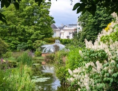 jardin des plantes