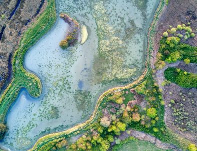 olivier-mesnage-x0_WocZ0Cjw-unsplash